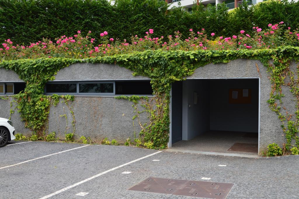 Peaceful Apartment Funchal Kültér fotó